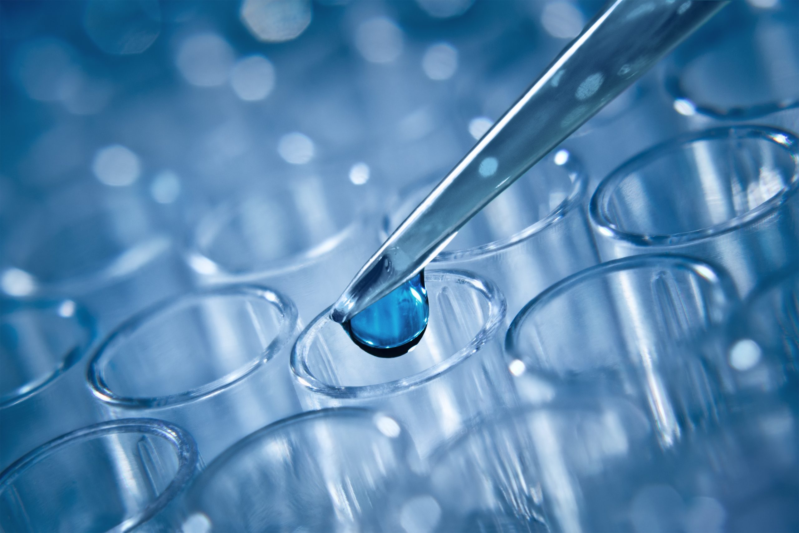 shutterstock_309471524 Benefits of using cell lines versus primary cells