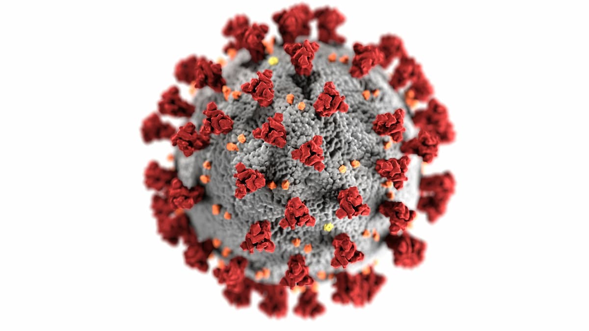 virology products uk