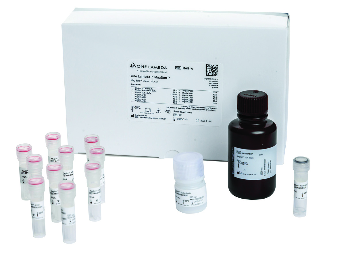 LABScan3D analyzer