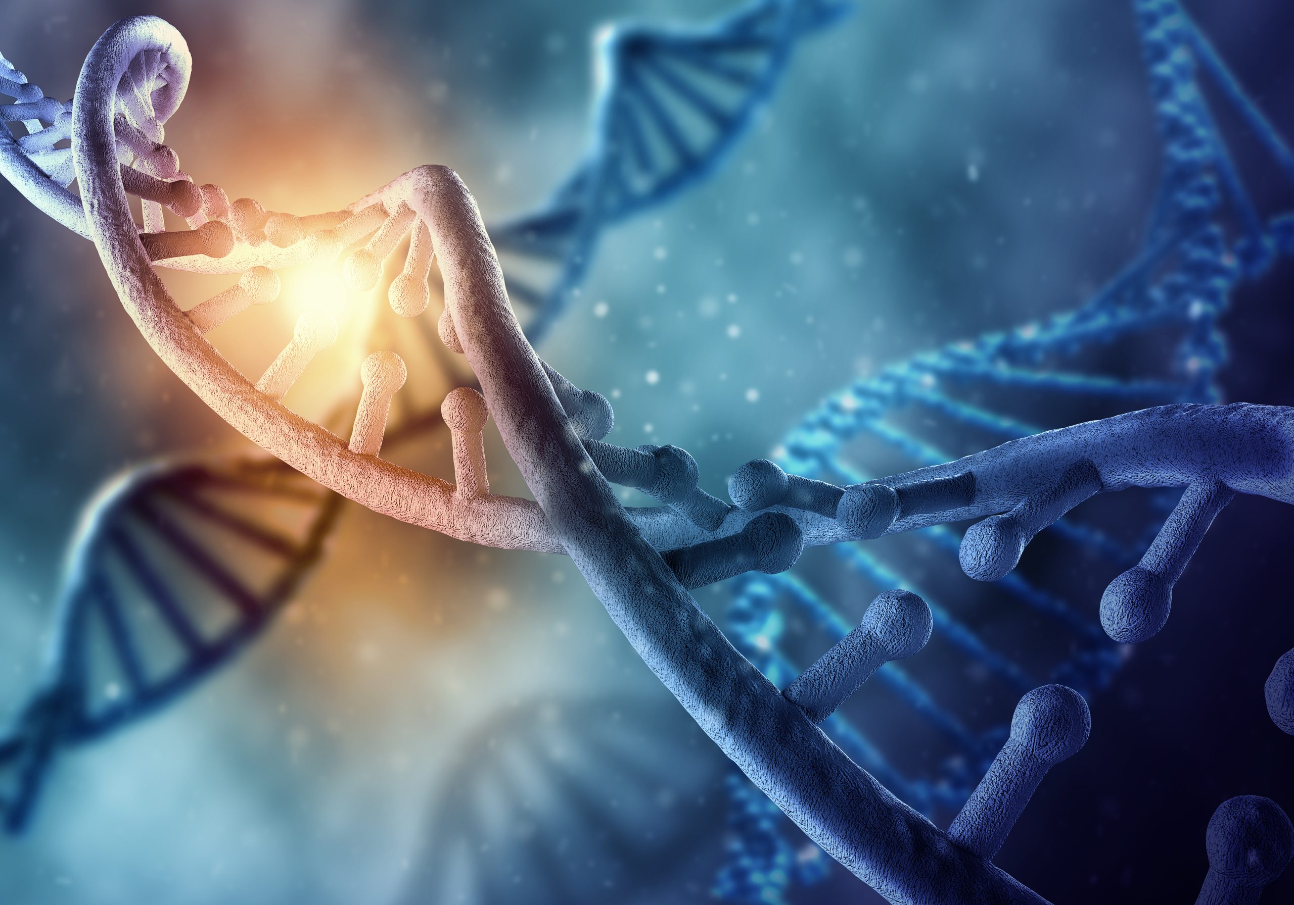 Molecular Genetics