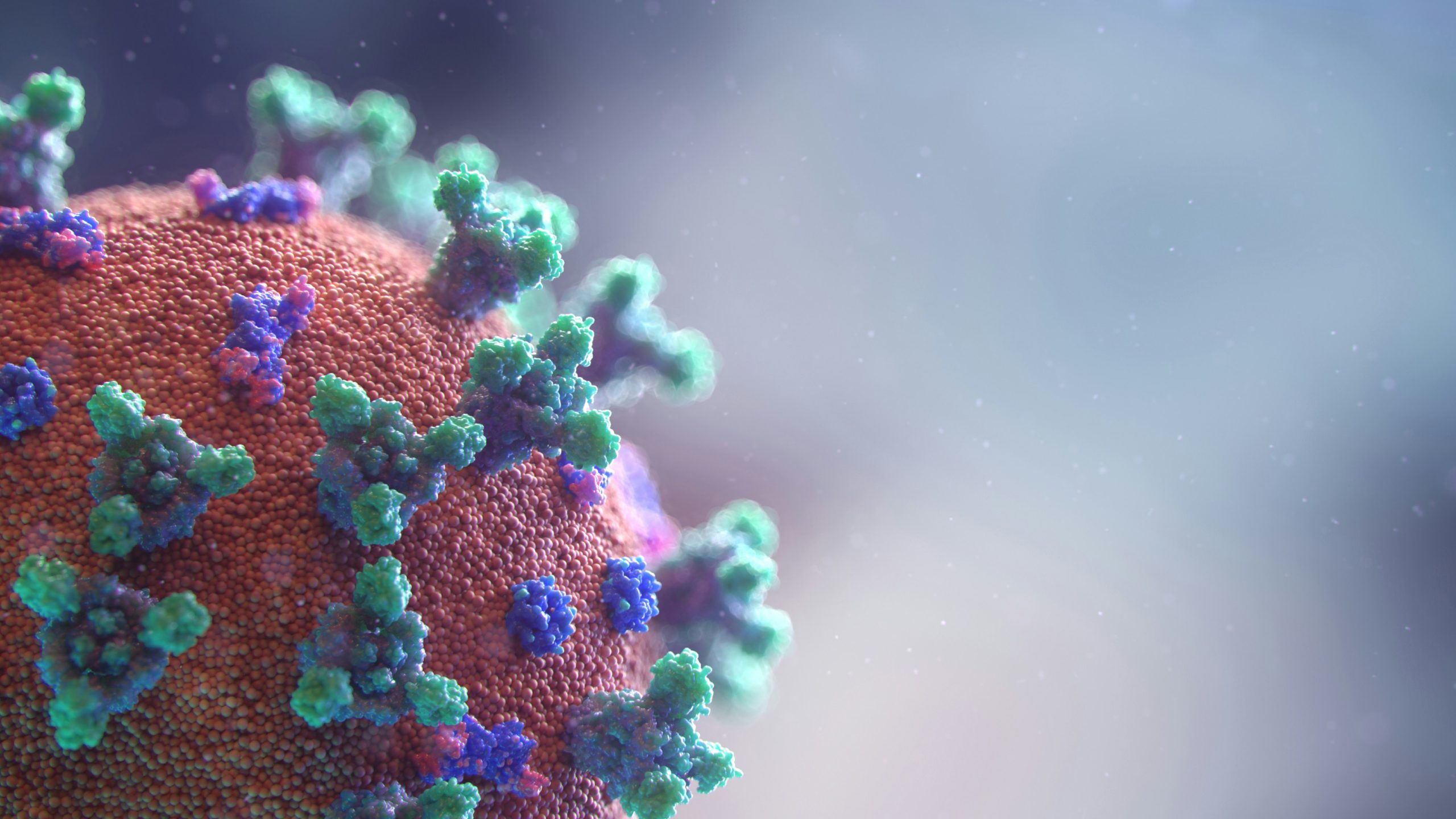 MolecularDx Controls