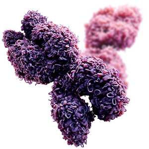x-chromosome-300×300-1
